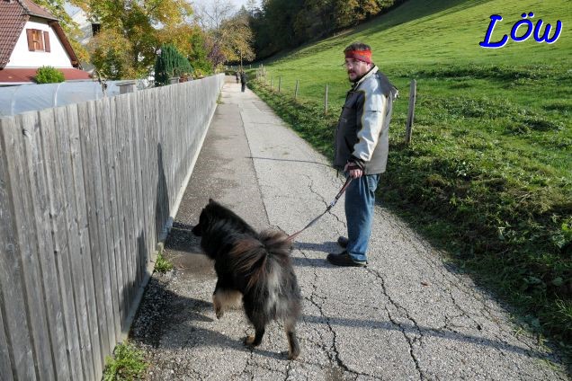 1.11.2023 - Piusweg
